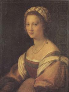 Andrea del Sarto Portrait of a Young Woman (san05) china oil painting image